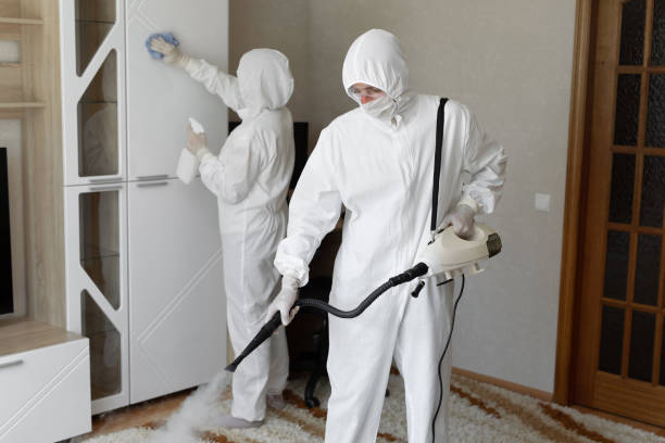 24/7 Emergency Odor Removal experts in Ada, OH